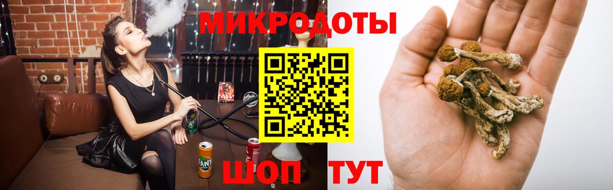 Рузаевка  Галлюциногенные грибы Psilocybe  Вход с VPN 